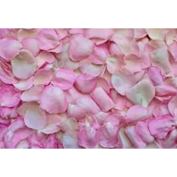 Organic Rose Petal