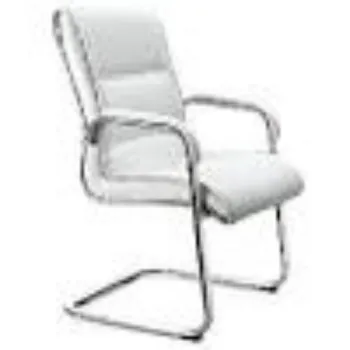 Polished S Type Chair