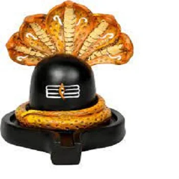 Windson Store Shivling 