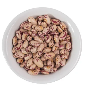  Beans Seeds