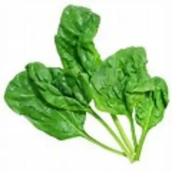 Organic Spinach