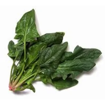 Spinach