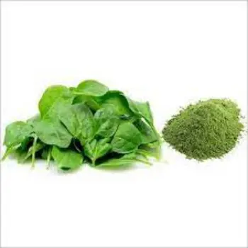 Spinach Powder