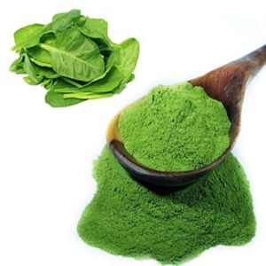 Natural   Spinach Powder