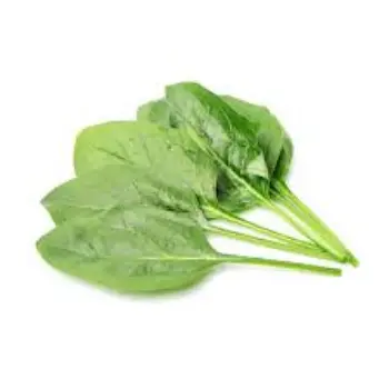 Organic Fresh Spinach