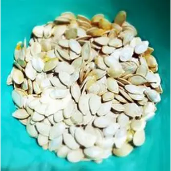 Squash Seed