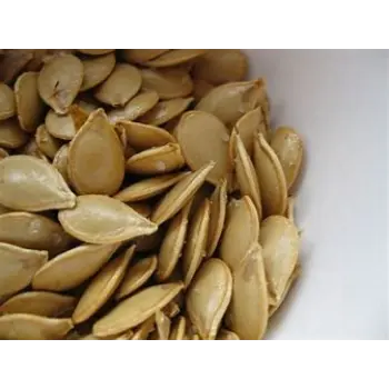 Squash Seed