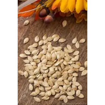 Squash Seed