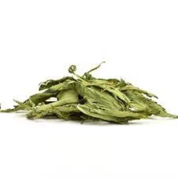 Dried Stevia Leaves