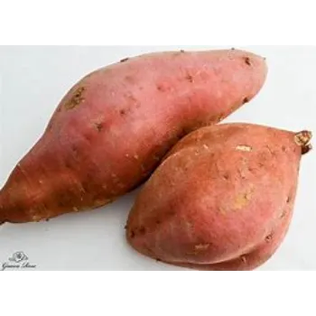 Organic Sweet Potato