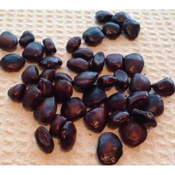 Tamarind Seeds