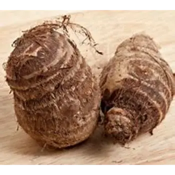 Organic Taro Root