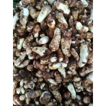 Organic Taro Root