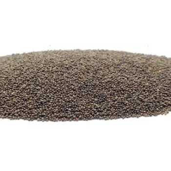 Organic Thyme Seed