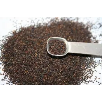 Organic Thyme Seed