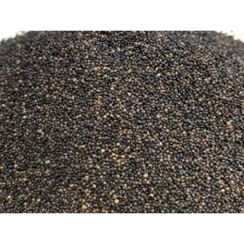 Thyme Seed