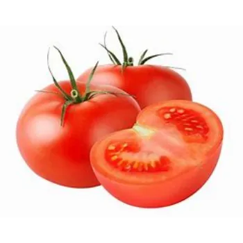  Tomato