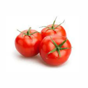 Fresh Tomato