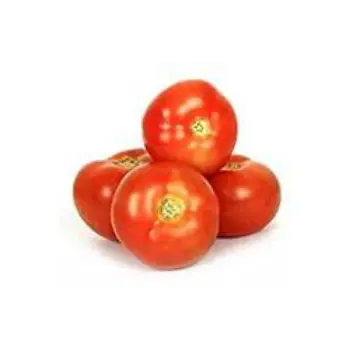 Organic Fresh Tomato