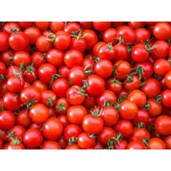  Organic Fresh Tomato