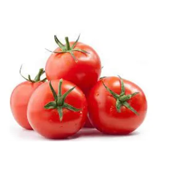 Organic Fresh Tomato