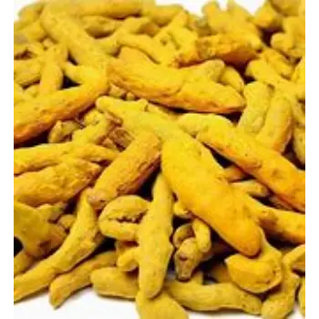 Organic Turmeric Finger Manufacturer 