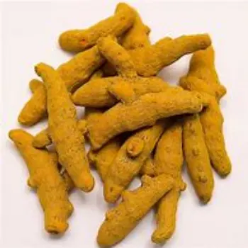 Turmeric Finger Supplier