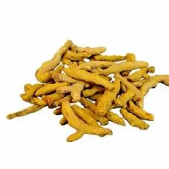 Turmeric Finger