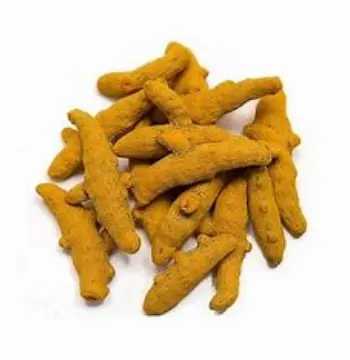 Natural Turmeric Finger Manufacturer