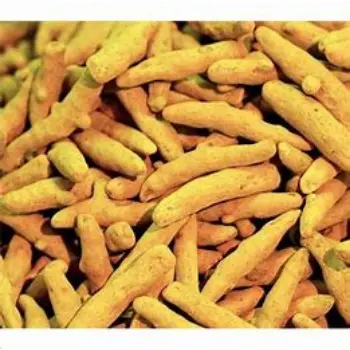 Fresh Turmeric Finger