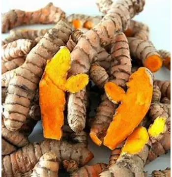 Fresh Turmeric Roots