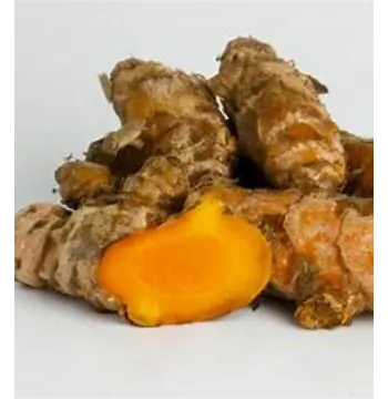 Fresh Turmeric Roots Trader