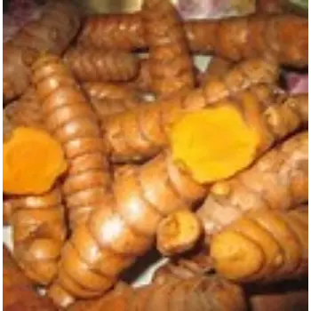 Turmeric Roots