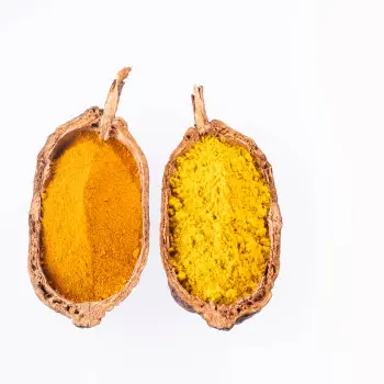 Turmeric Spent