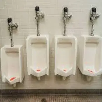 Polished Urinal