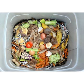 Vermicompost Fertilizer