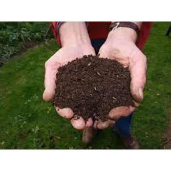 Organic Vermicompost Fertilizer