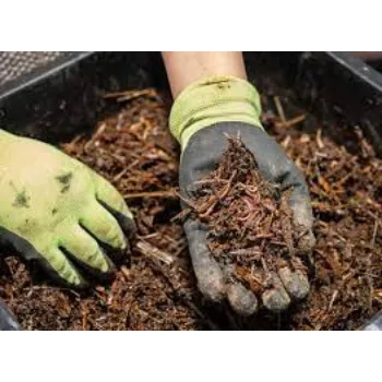 Organic Vermicompost