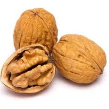 Shelled Walnuts