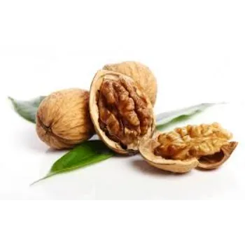 Dried Walnut