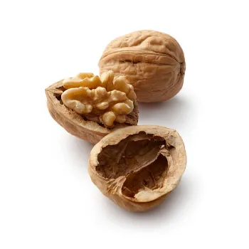 Walnut