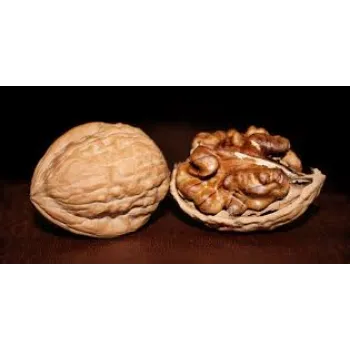 Shelled Walnuts