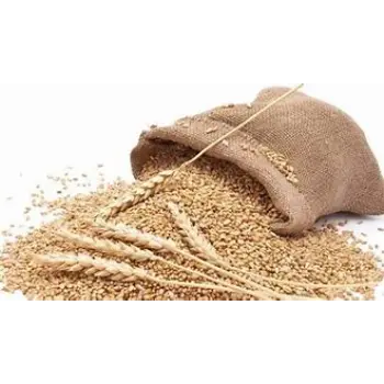 Light Weight Wheat Bag