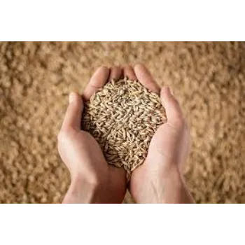 Wheat Seed