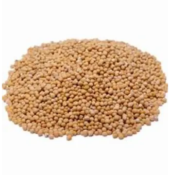 Natural Yellow Mustard Seed