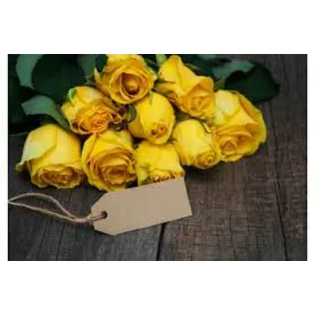 Yellow Rose